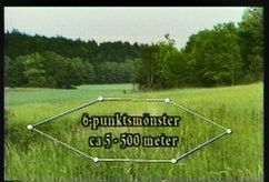 Kort beskrivning/sammanfattning av sex-punkts-system